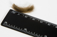 Buy Your Tests Online. hair sample